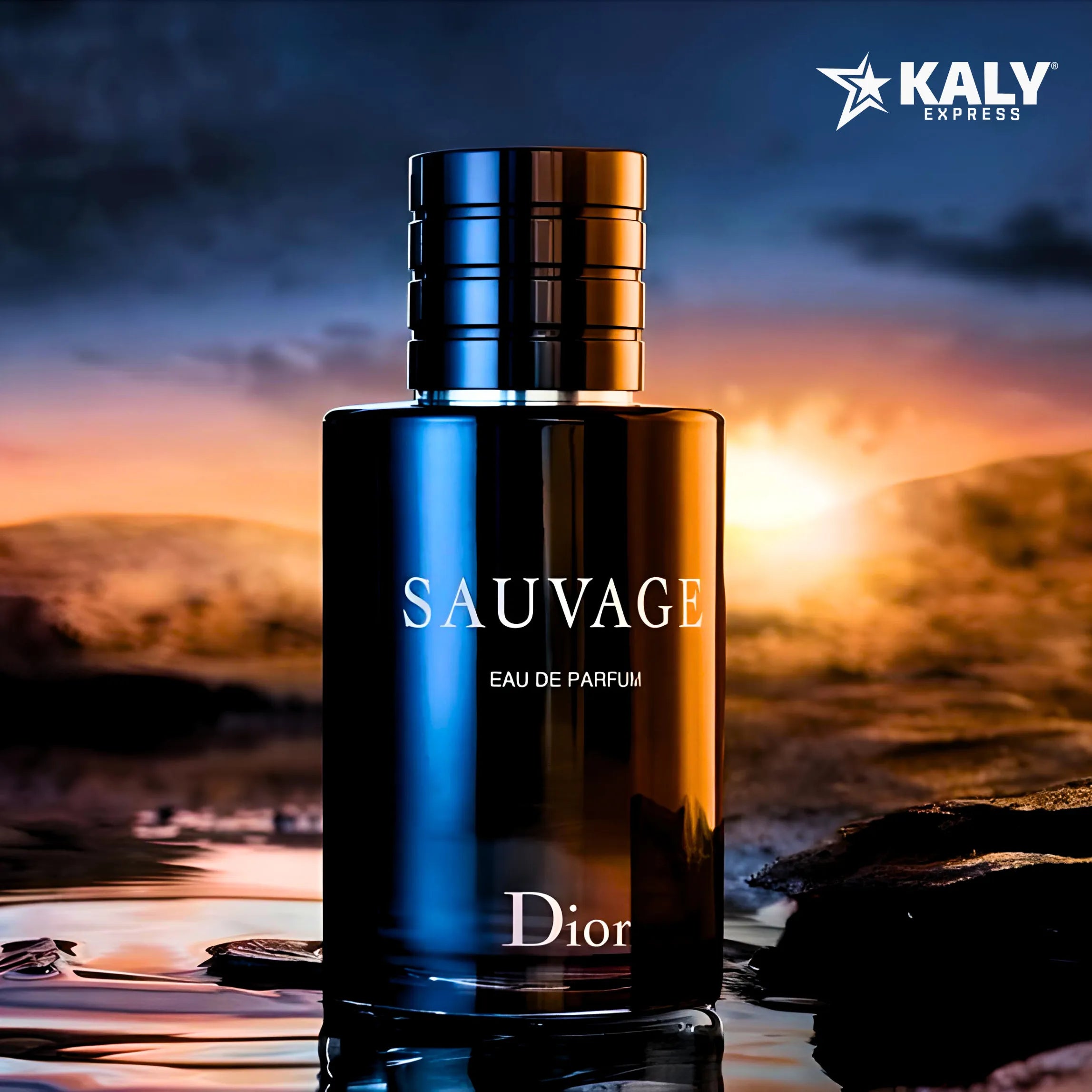 Kit 4 Perfumes Masculinos Importados (100ml cada) - Sauvage Dior l One Million l 212 VIP Black l Bleu De Chanel [ ÚLTIMAS UNIDADES )